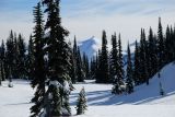 DSC_2666.jpg